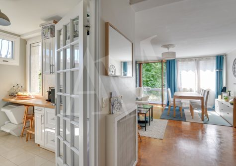 Centre Ville – appartement balcon, cave, box à vendre